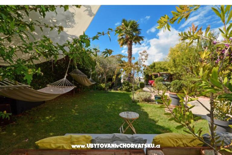 Tudija – foto 13