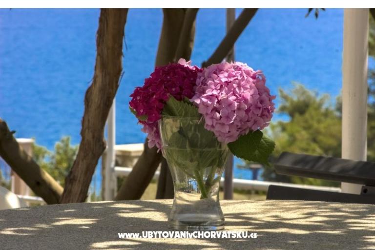 Apartmány Katarina Čiovo – foto 9