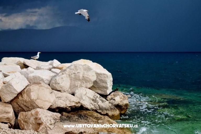 Villa Bohemia Slatine – foto 16