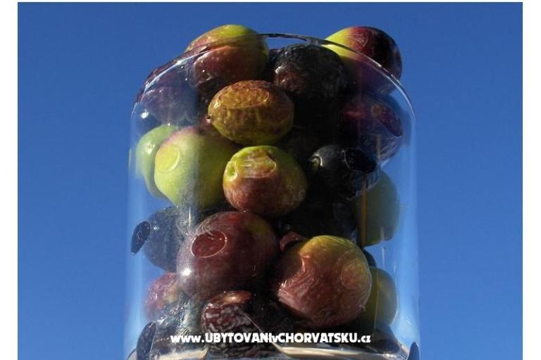 Villa Domora – foto 13