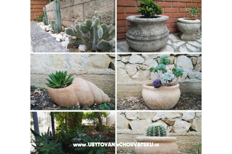 Villa Monika – foto 17