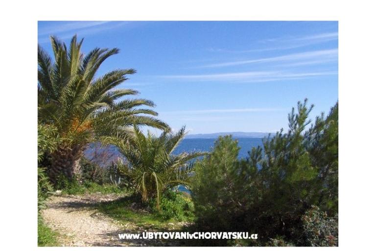 Dům k odpočinku Oliviano – foto 13