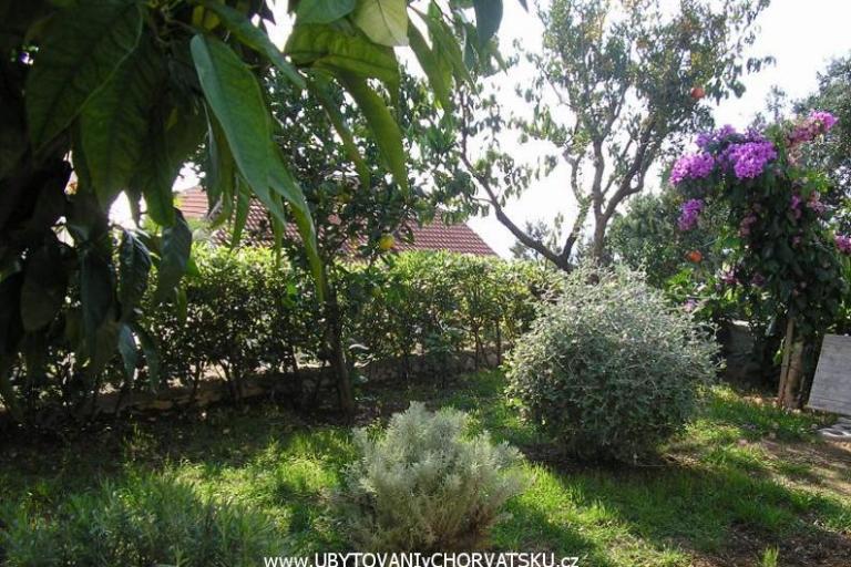 Villa Vukoja – foto 3