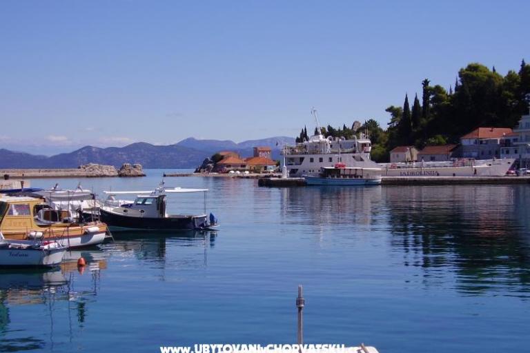 Vila Juric – foto 10