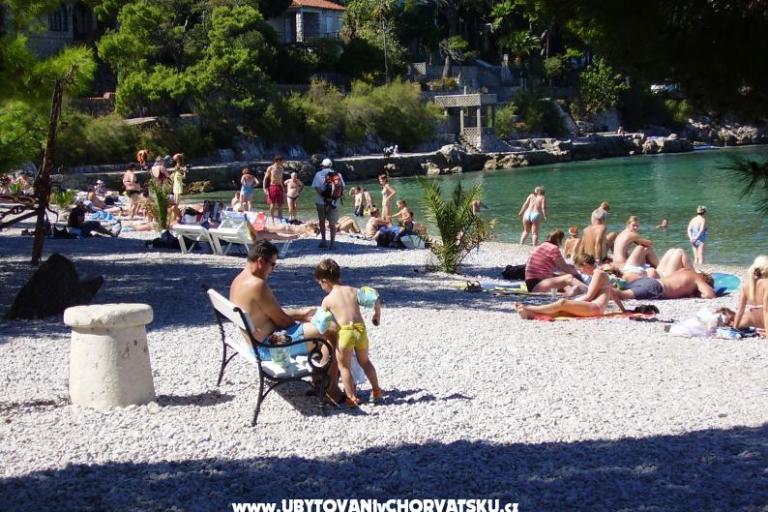 Vila Juric – foto 11