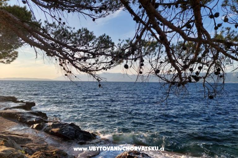 Apartmány Bukovac – foto 15