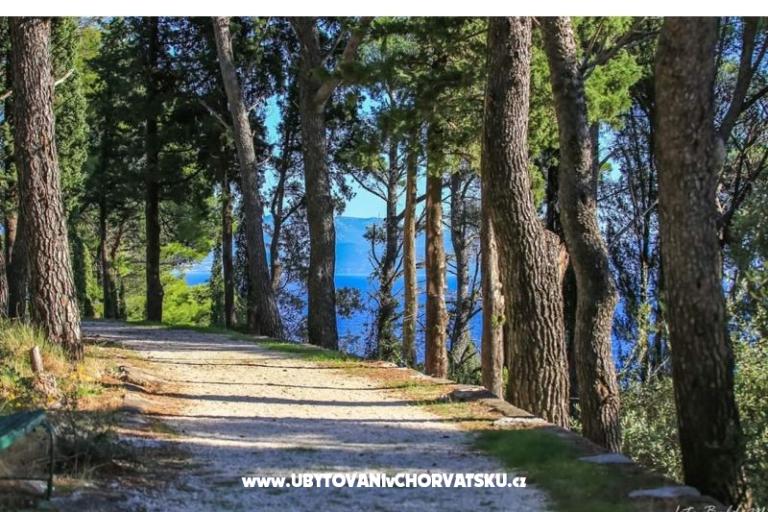 Apartmány Nino – foto 5