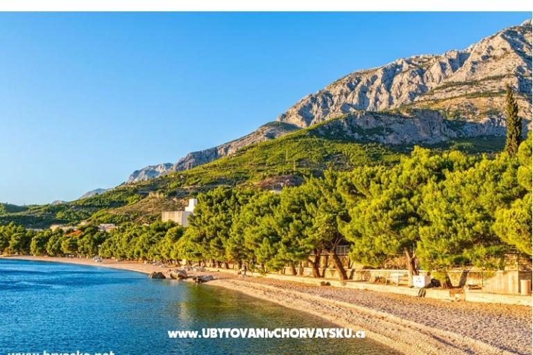 Apartmány Amarilis – foto 17