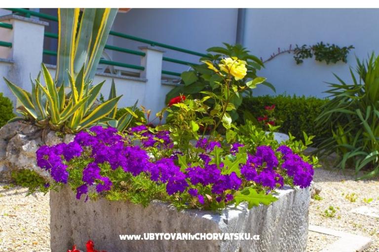 Apartmány Dalmatina – foto 13