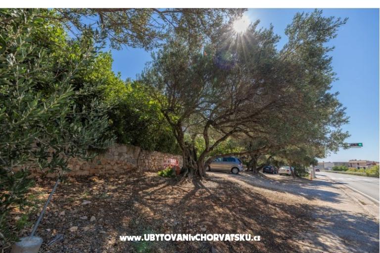 Apartmány Marta – foto 18