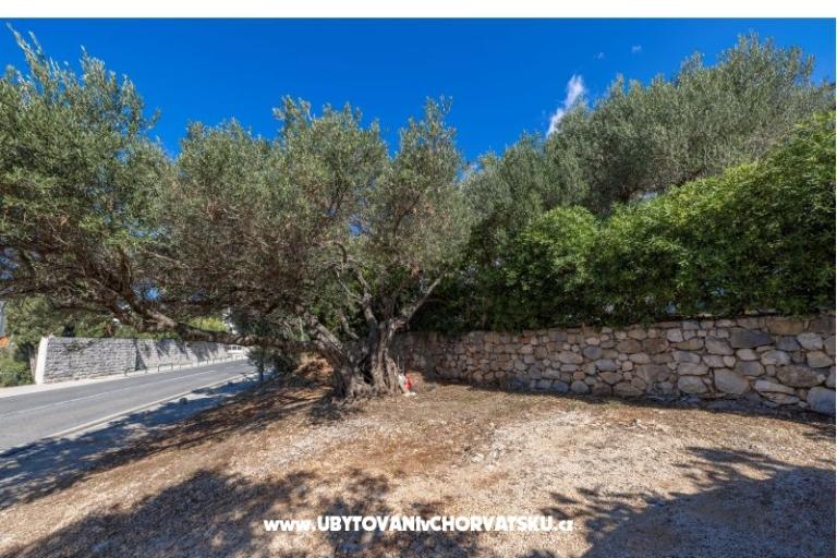 Apartmány Marta – foto 19