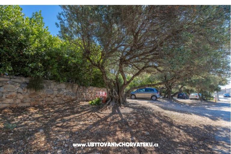 Apartmány Marta – foto 21