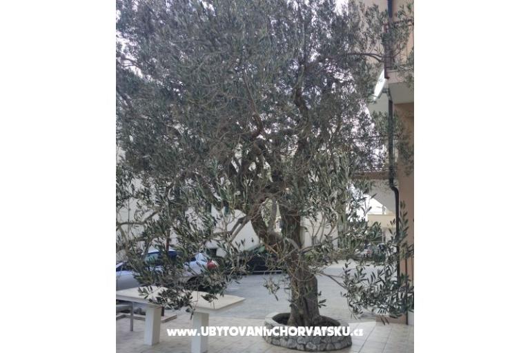 Apartmány Mena – foto 4