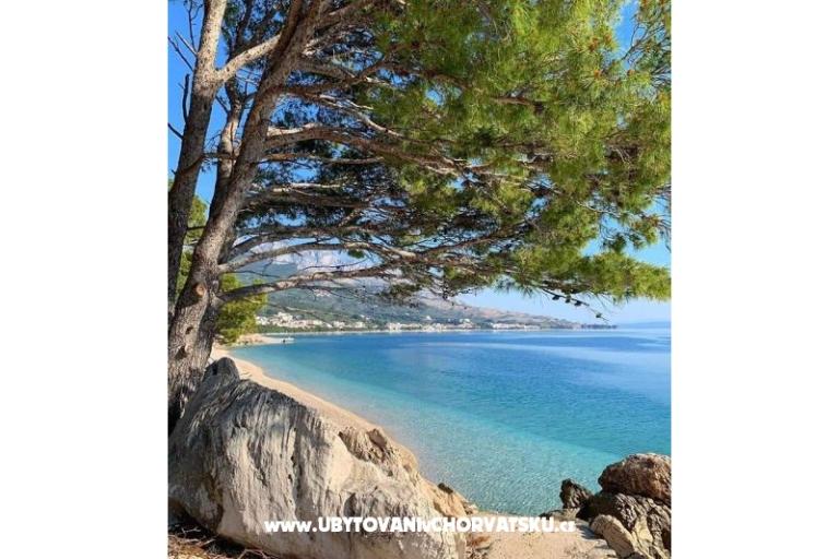 Apartmány Sonja – foto 11