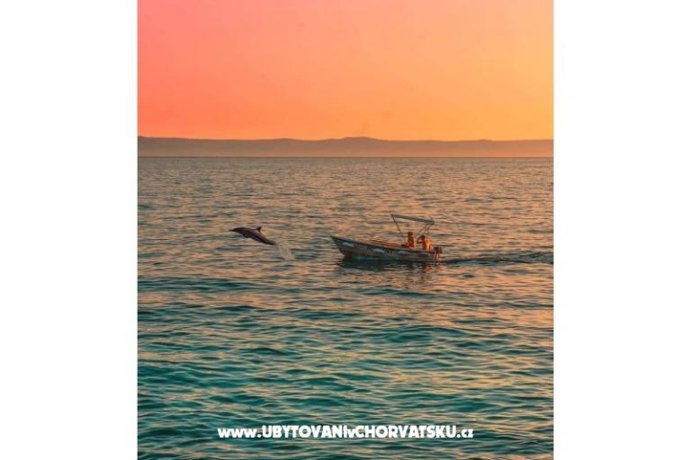 Apartmány Sonja – foto 12