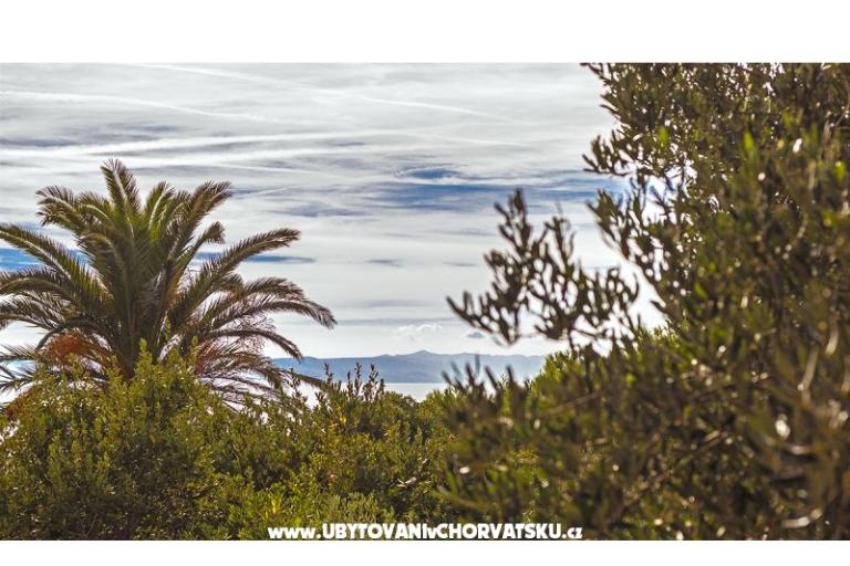 Apartmán  Trumbić – foto 10