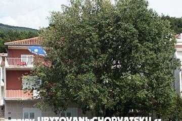 Apartmány Maja Sevelj – foto 2