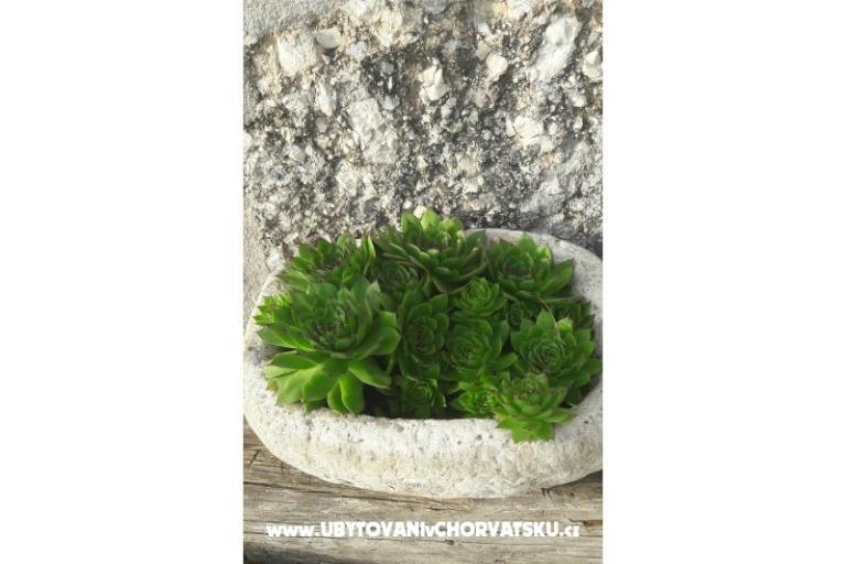 App Buco &amp; Mare – foto 14