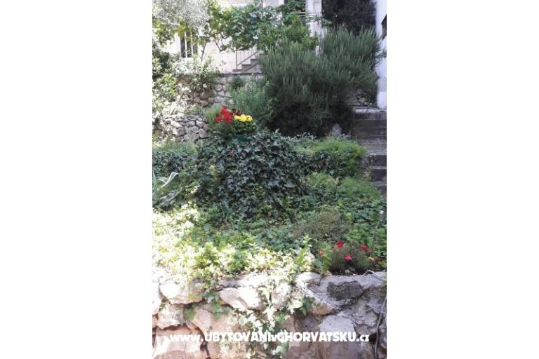 App Buco &amp; Mare – foto 17