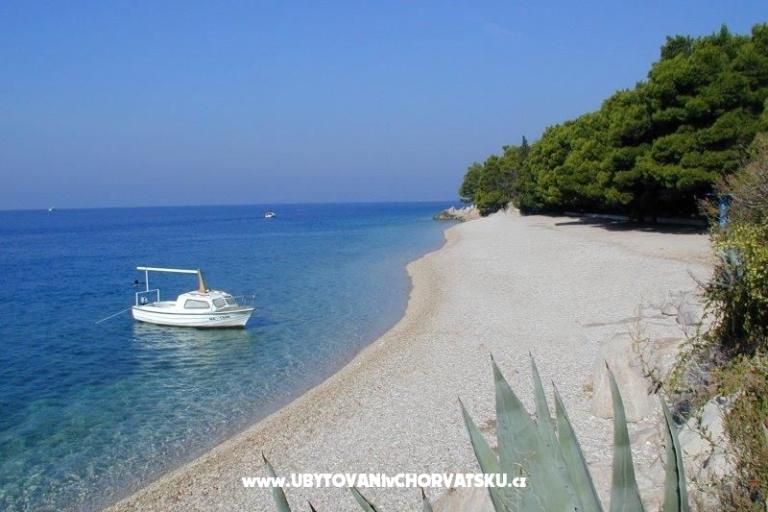 App Dragicevic -Villa Rossa 2 – foto 10