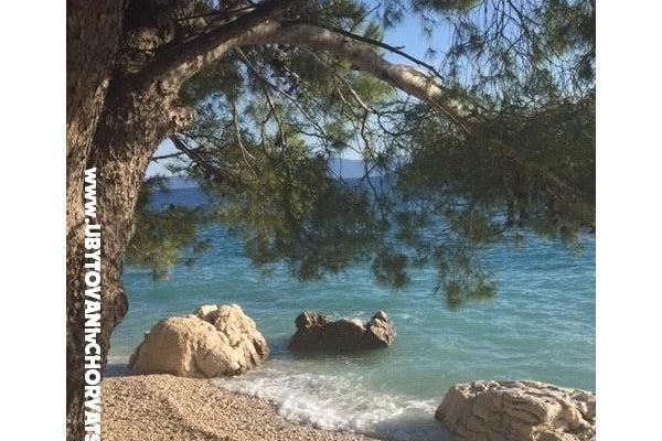 Apartmány Vesna - Dům Covic – foto 18