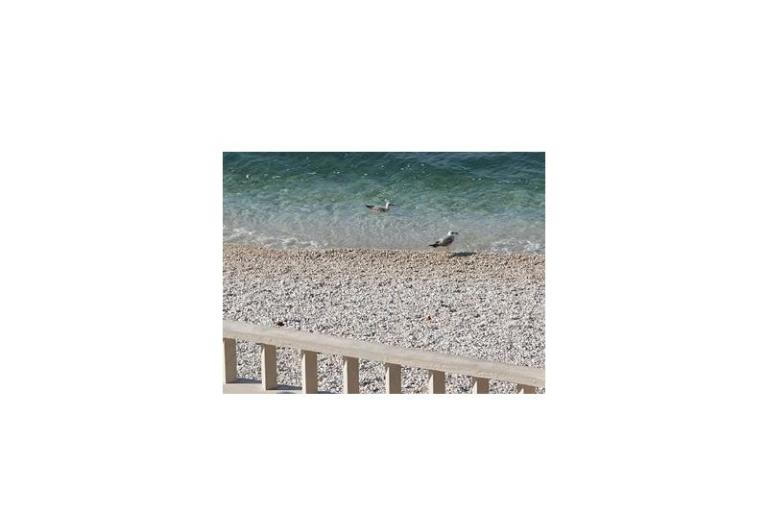 Marija &amp; Matko Ševelj – foto 15