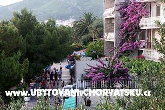 Marija &amp; Matko Ševelj – foto 8