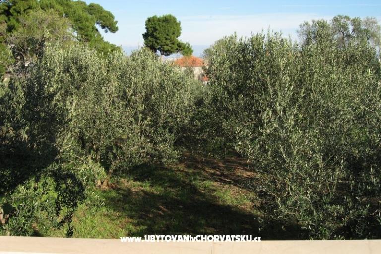 Apartmány Ante – foto 2