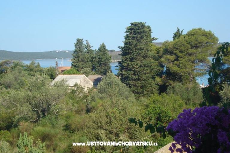 Apartmány Branko Vidaković – foto 12