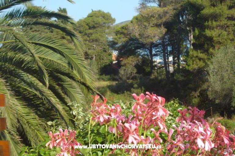 Apartmány Branko Vidaković – foto 13