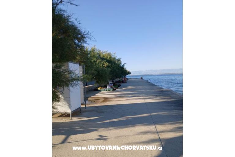 Apartmány Galius Ugljan – foto 20