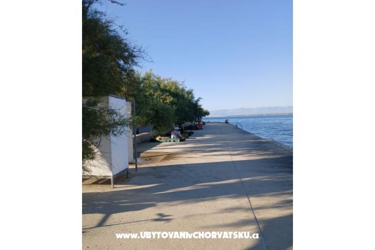 Apartmány Galius Ugljan – foto 5