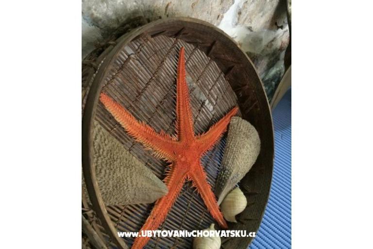 Apartmány NADA Kukljica – foto 11