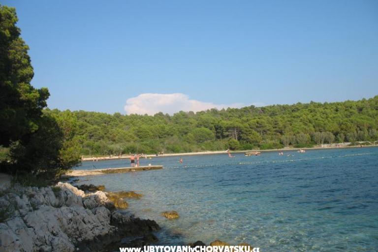 Apartmány Tomislav – foto 8