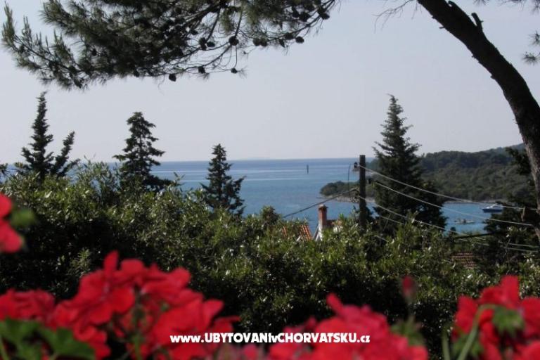 Apartmány Mrva – foto 11