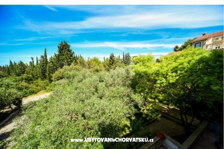 Apartmány Mrva – foto 14