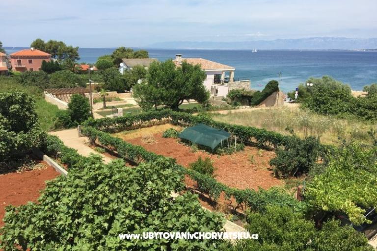Katarina Apartmány – foto 5