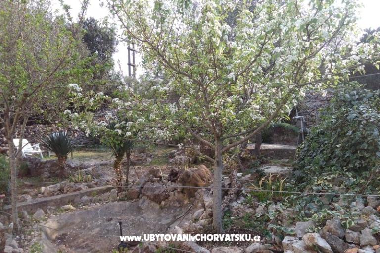 Dům k odpočinku Ivan – foto 10