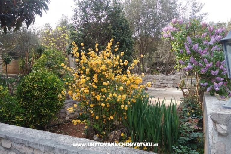 Dům k odpočinku Ivan – foto 12