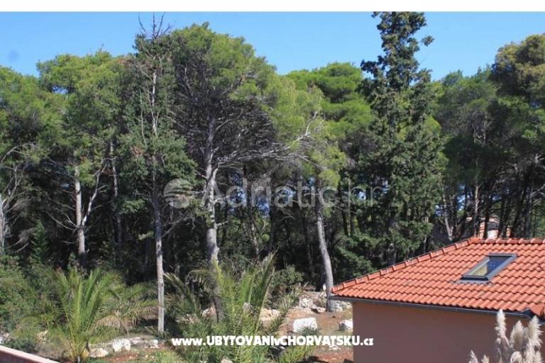 Apartmány Mirjana – foto 14
