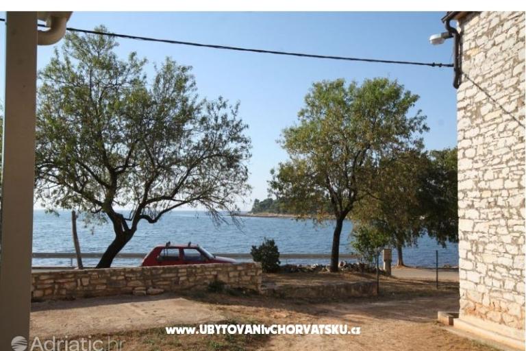 Apartmán – foto 3