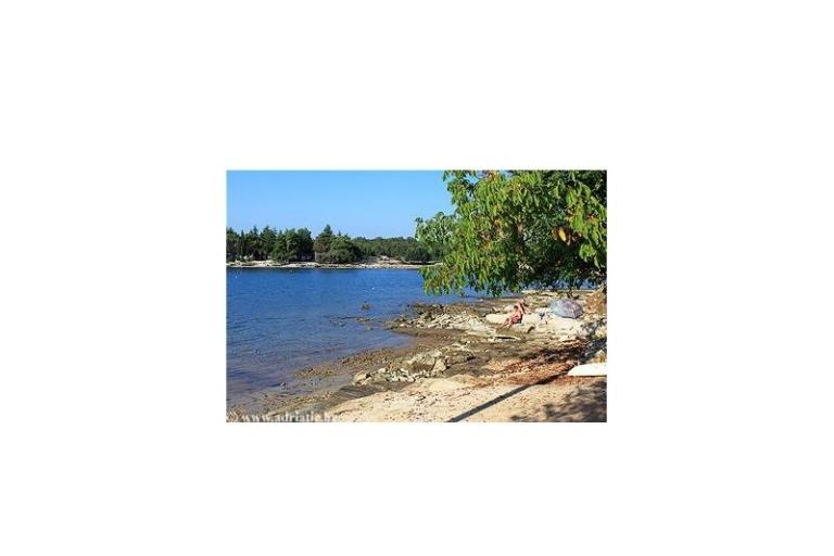 Apartmán – foto 4