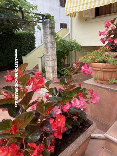 Apartmány Maris  – foto 2