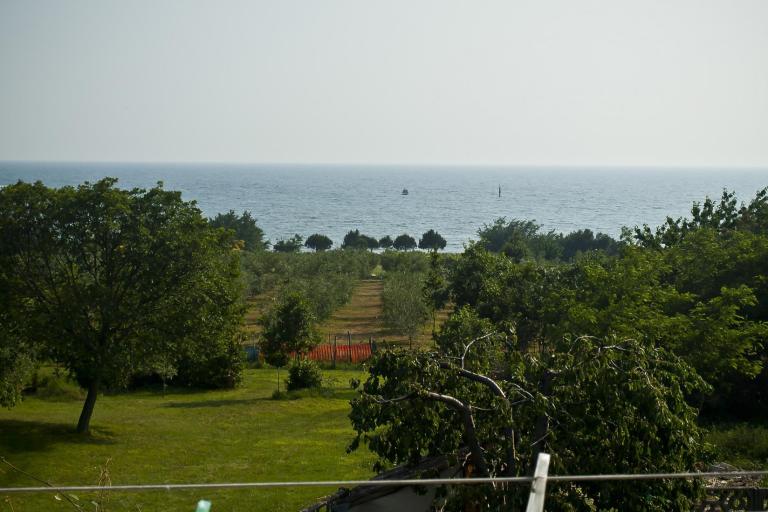 Apartmány Paradinovic – foto 2