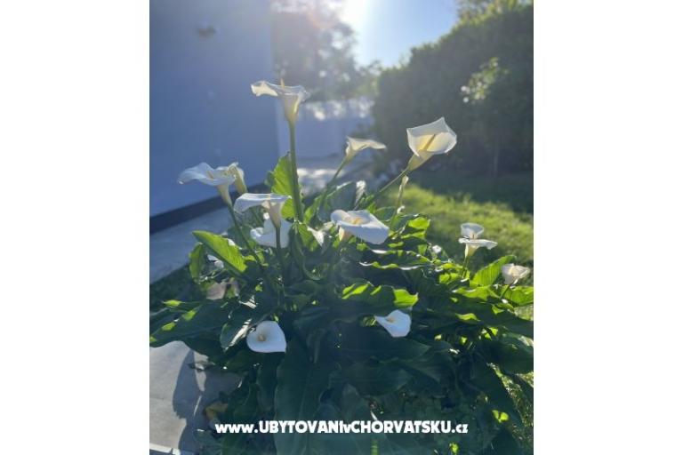Holiday Dům Gabi – foto 18