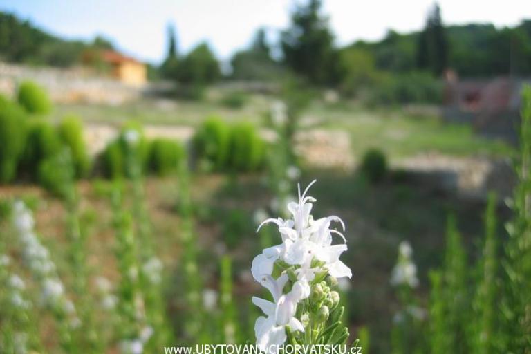 Apartmány Perutović – foto 7