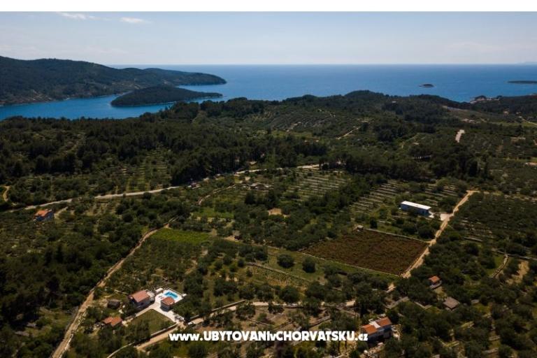 Villa Barbara / Zli stup – foto 12