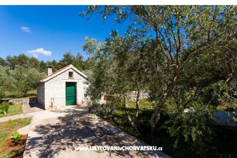 Villa Barbara / Zli stup – foto 18