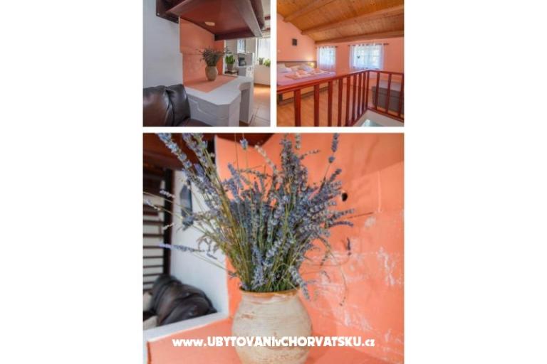 App Bonić – foto 24