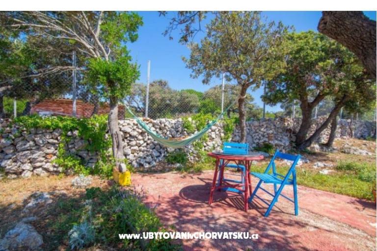 App Bonić – foto 32